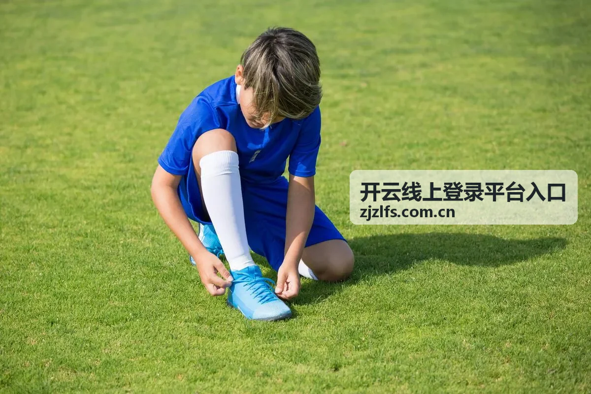 开云线上登录平台入口首页概览