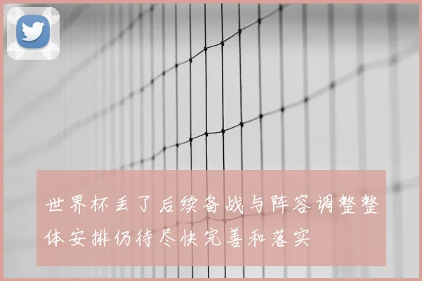 世界杯丢了后续备战与阵容调整整体安排仍待尽快完善和落实