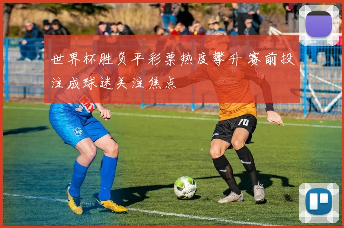 世界杯胜负平彩票热度攀升 赛前投注成球迷关注焦点