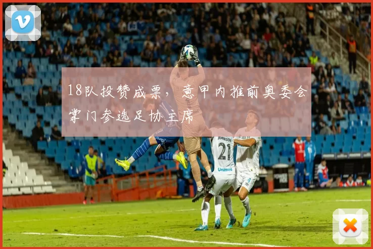 18队投赞成票，意甲内推前奥委会掌门参选足协主席