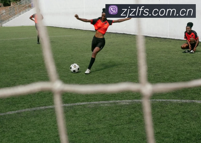 开云网页版·官方版在线登入 - 开云(中国)品牌故事